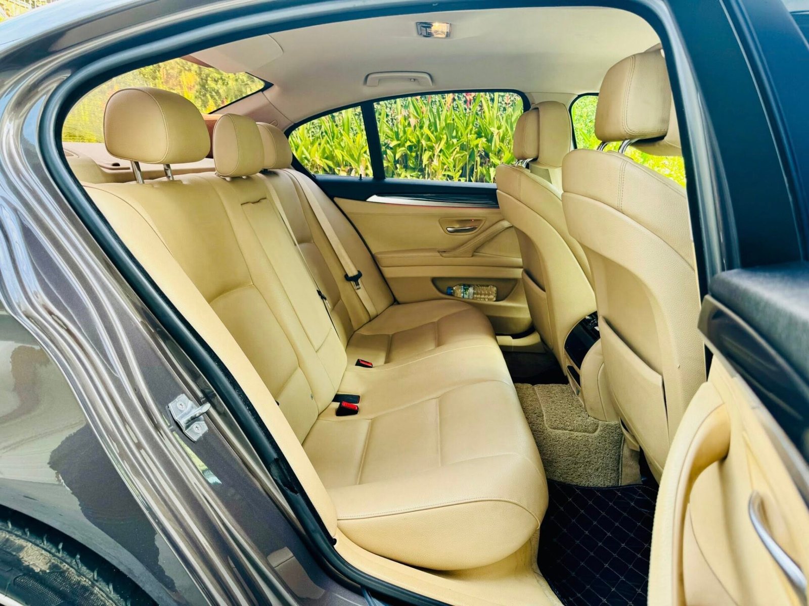 586599755_1275442091294509_8036446534433178982_n